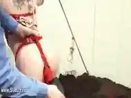 graceful BDSM anal action in gangbang